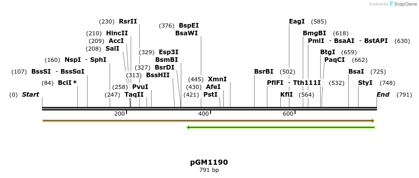 142437_map