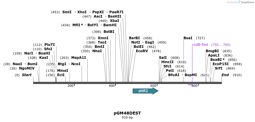 142438_map