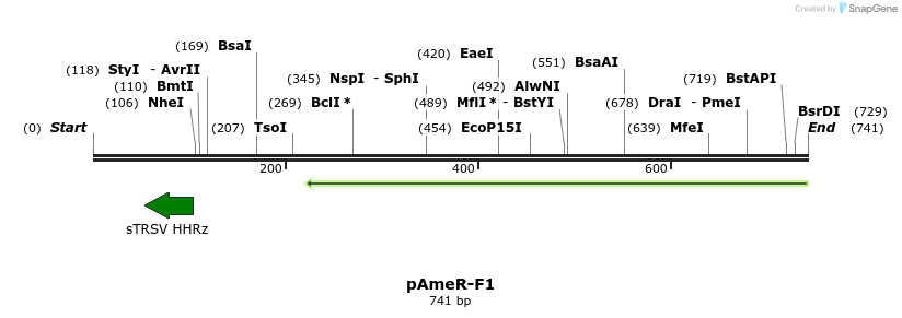 142440_map