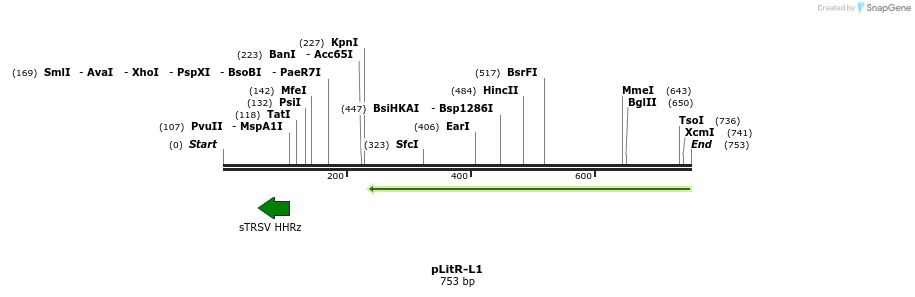142441_map