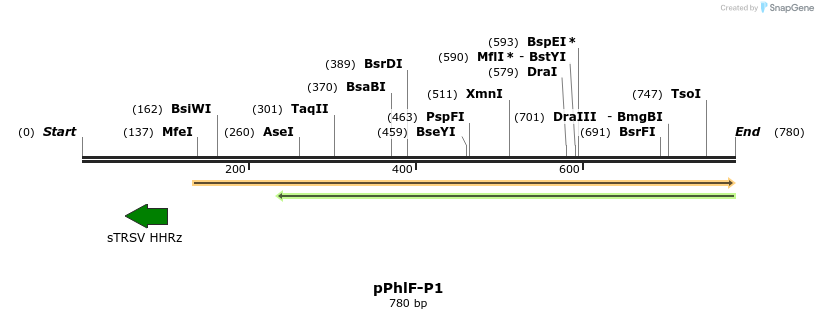 142456_map