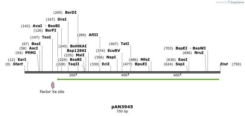 142460_map