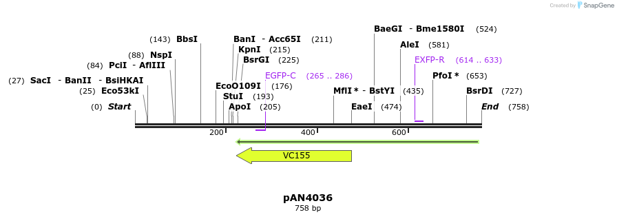 142461_map