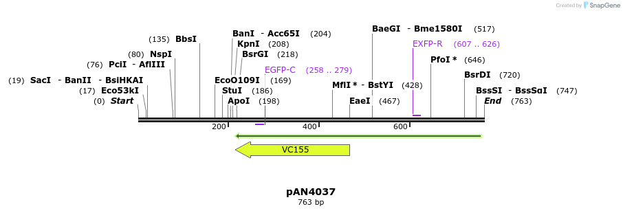 142462_map