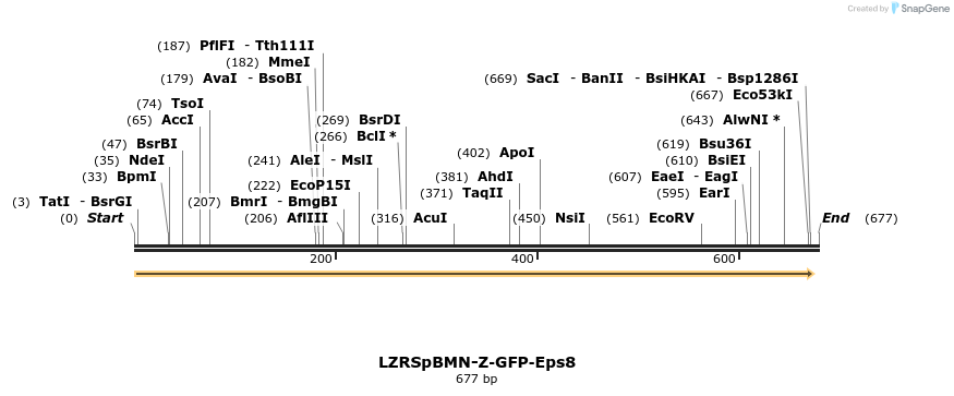 142464_map
