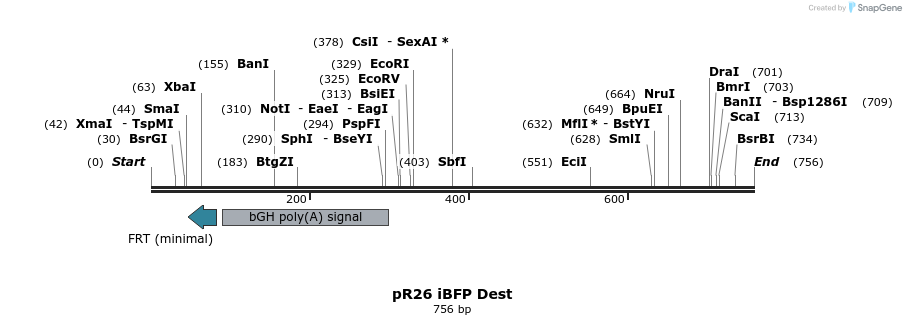 142468_map