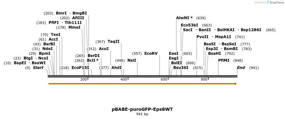 142469_map