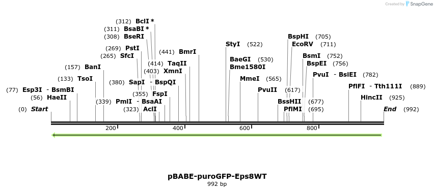 142471_map