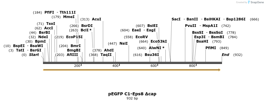 142472_map