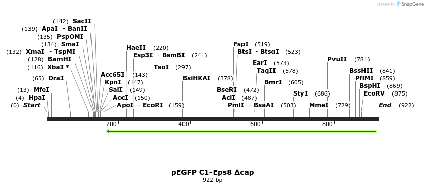 142473_map