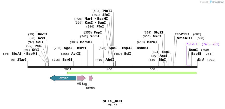 142475_map