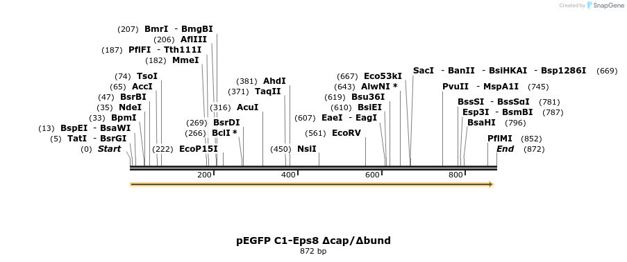 142481_map