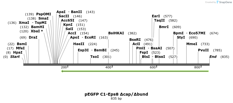 142482_map