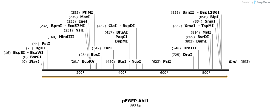 142483_map