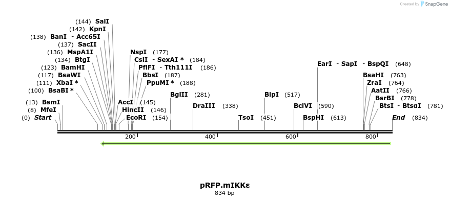 142486_map