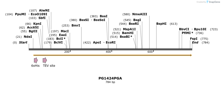 142490_map