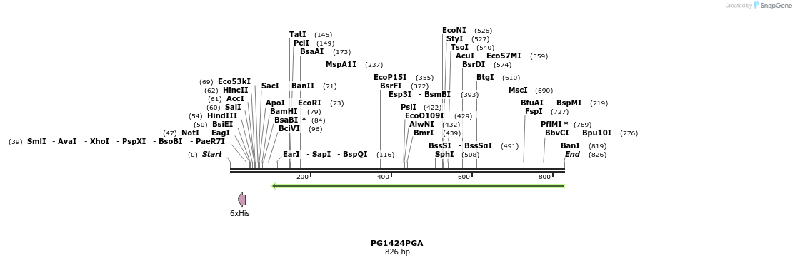 142491_map