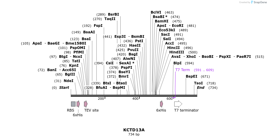 142497_map