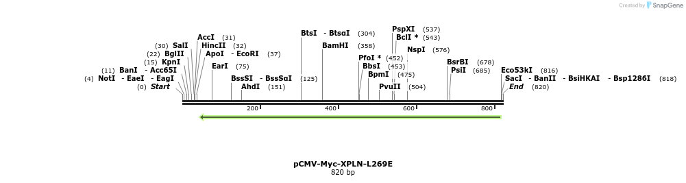 142499_map
