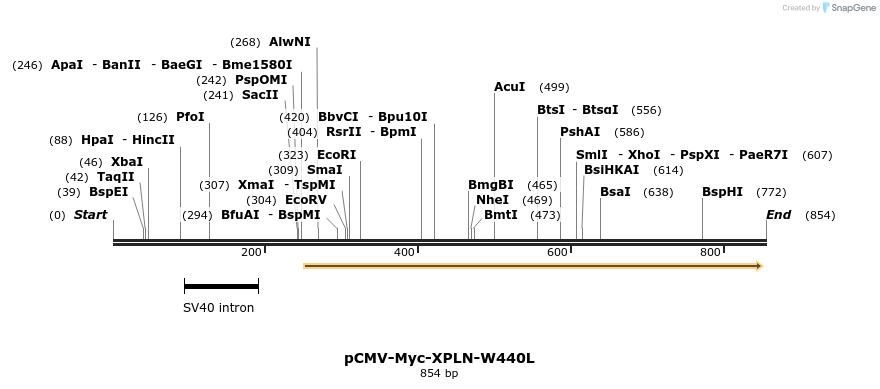 142502_map