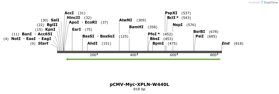 142504_map