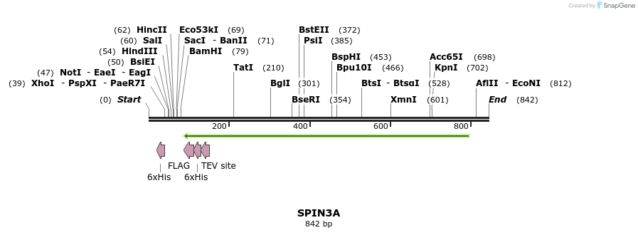 142505_map