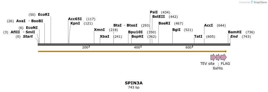 142506_map