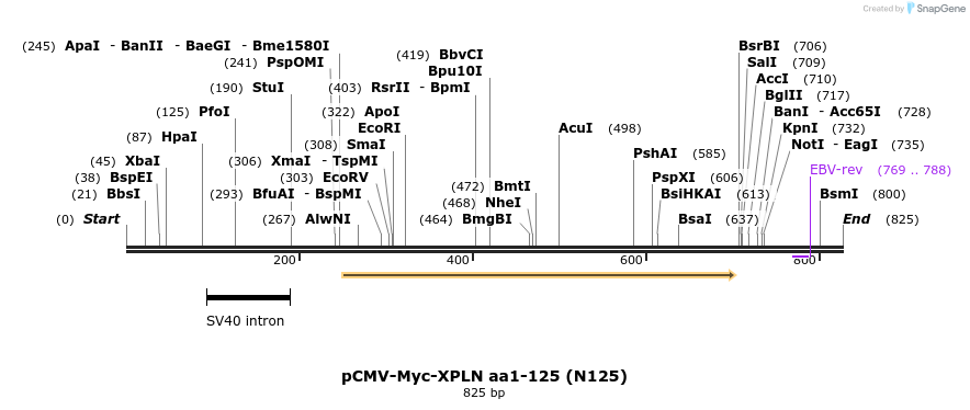 142512_map