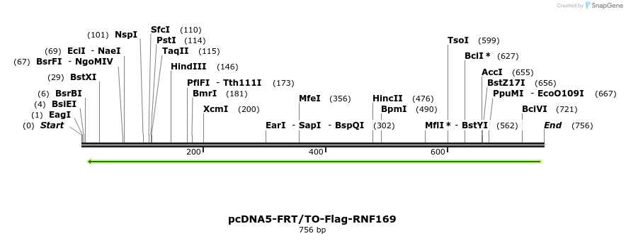 142513_map