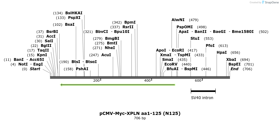 142514_map