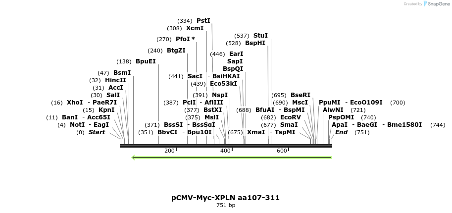 142518_map