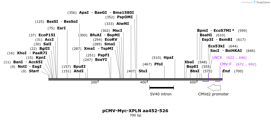 142523_map