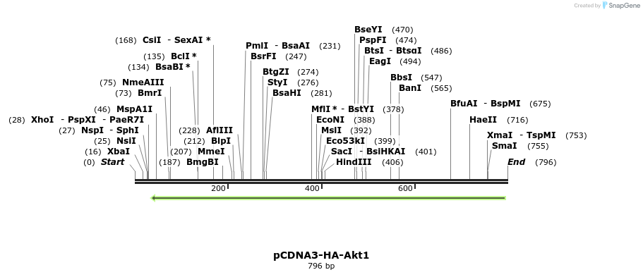 142538_map