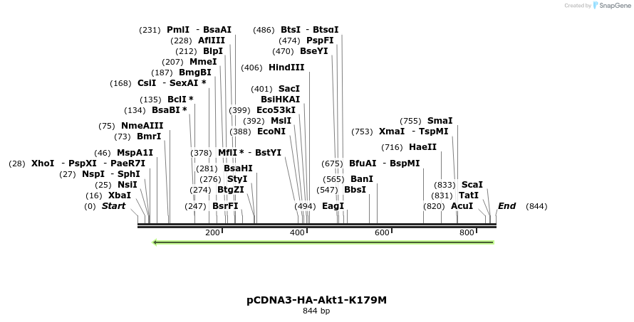 142541_map