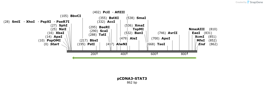 142550_map
