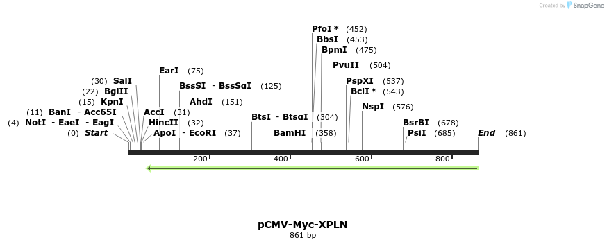 142570_map