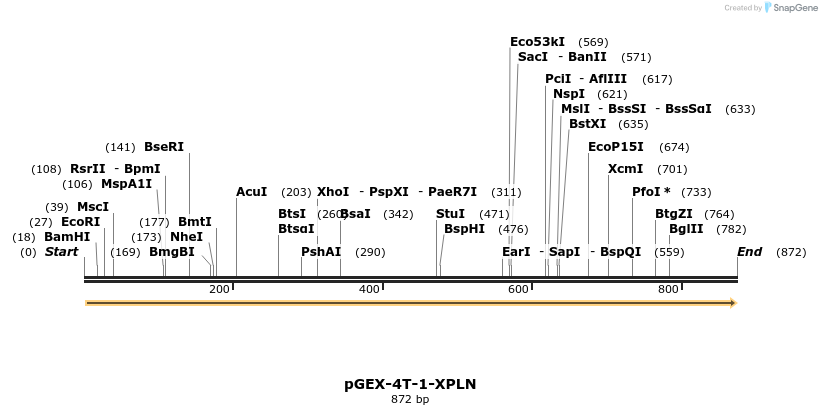 142573_map