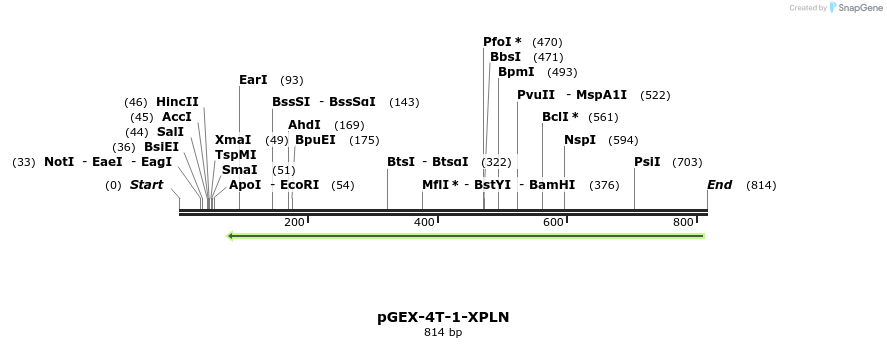 142575_map