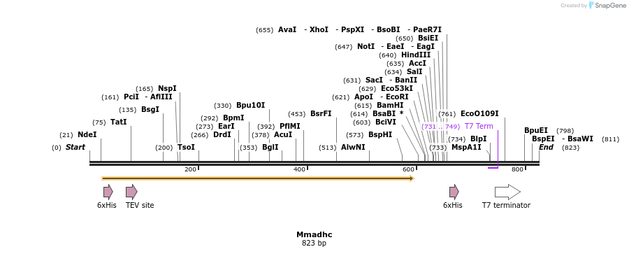 142582_map