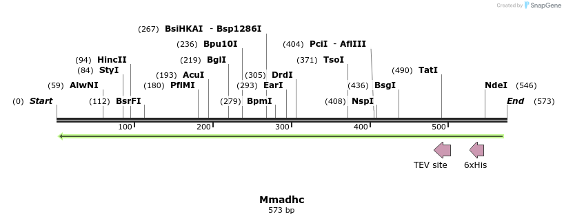 142583_map