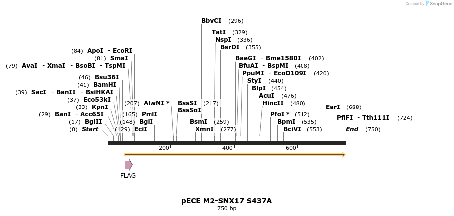 142594_map