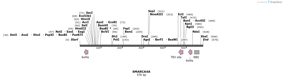 142602_map