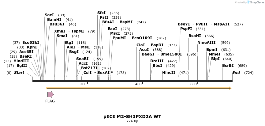 142606_map