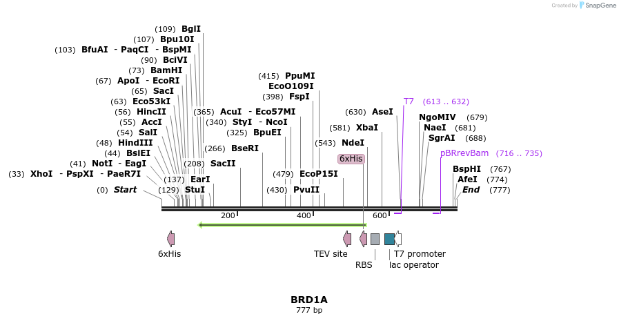 142607_map