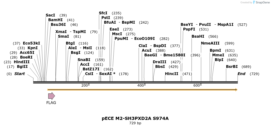 142609_map