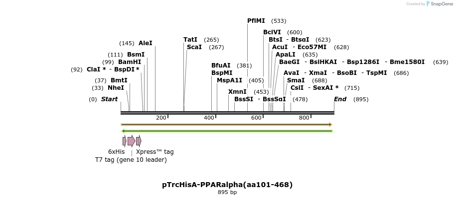 142610_map