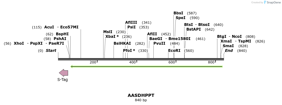142612_map