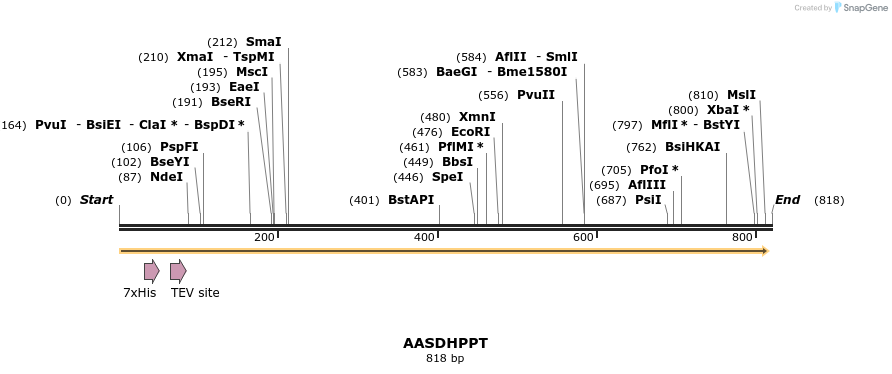 142613_map