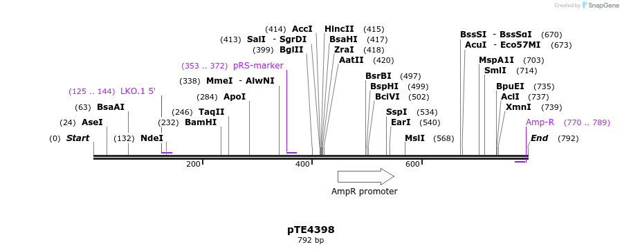 142616_map