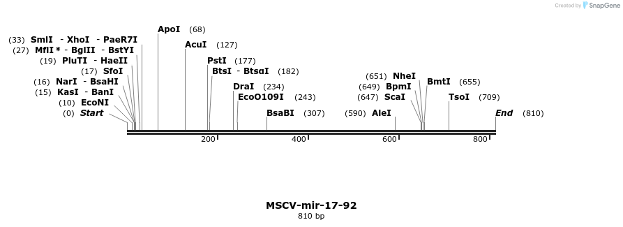 142617_map